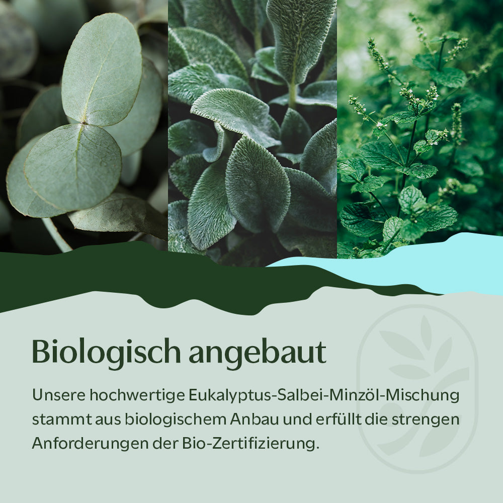 BIO Eukalyptus-Salbei-Minzöl