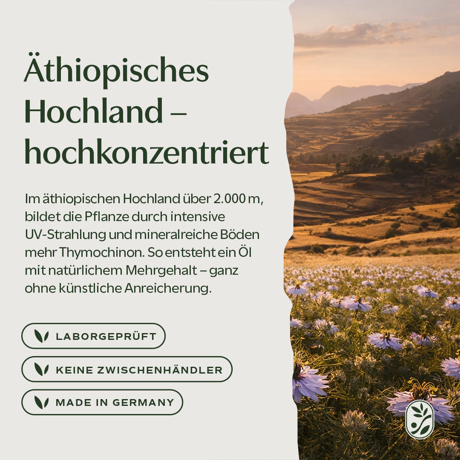 Schwarzkümmelanbau im äthiopischen Hochland